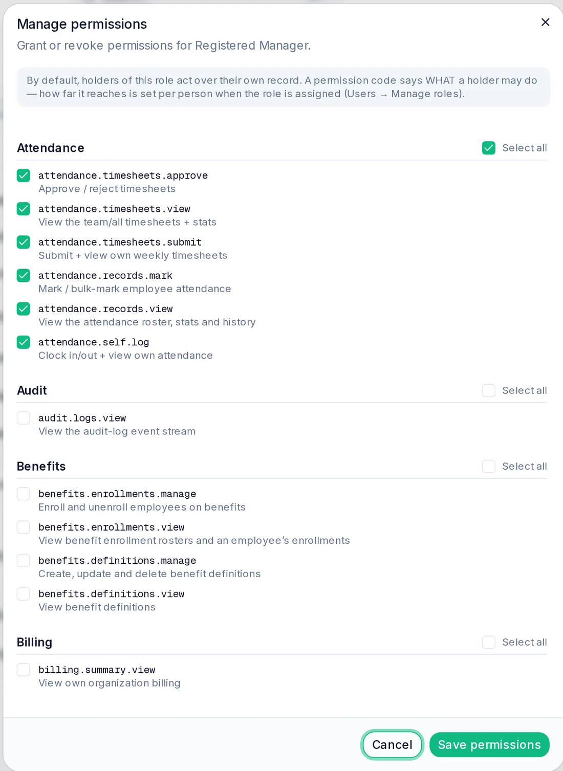Permission editor showing individual permissions for a custom role
